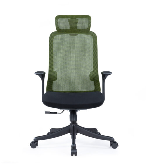 SpineFlex Pro 2D Ergonomic Office Chair