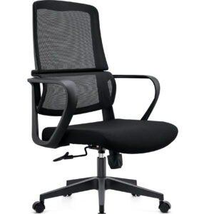 BL-861B Elastic Lumbar Support Office Chair