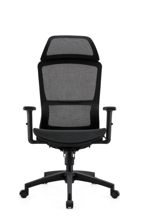 BL-834A-1  Ergonomic Mesh And PU Task Chair