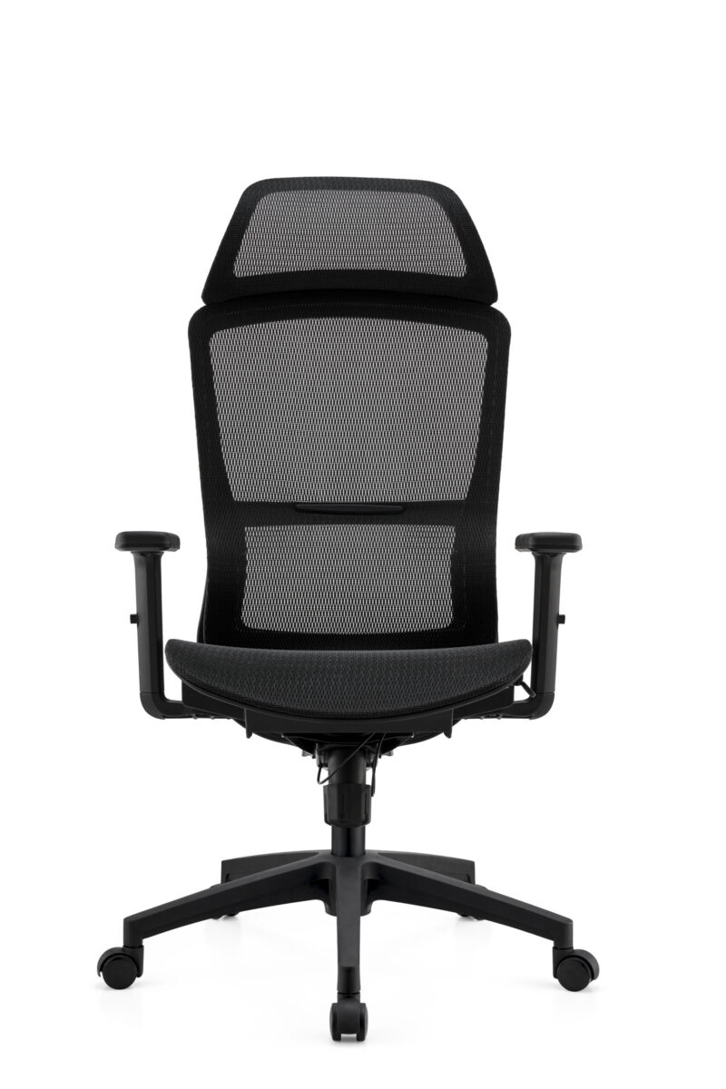 BL-834A-1  Ergonomic Mesh And PU Task Chair
