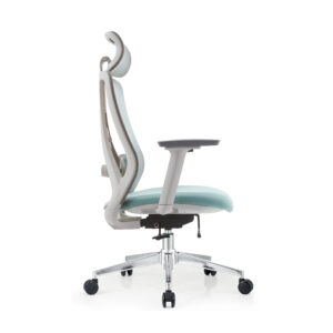 BL023A Elegance Multi-Directional Adjustable Swivel Chair