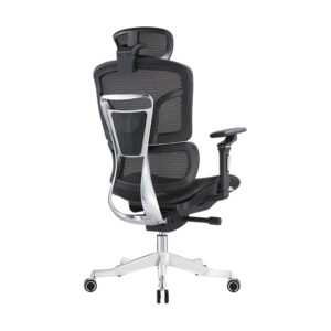 BL0035AG High-end Multifunctional Backrest Sliding Ergonomic Office Chair With Lean Forward Seat