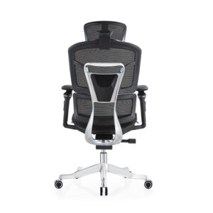 BL0035AG High-end Multifunctional Backrest Sliding Ergonomic Office Chair With Lean Forward Seat