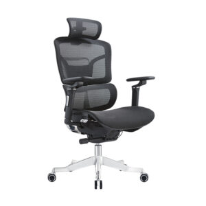 BL0035AG High-end Multifunctional Backrest Sliding Ergonomic Office Chair With Lean Forward Seat