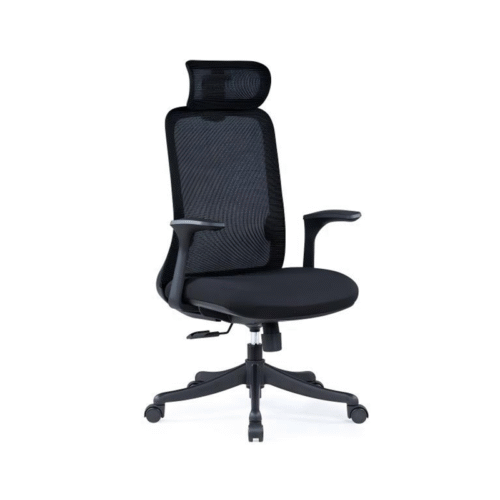 BL-851A Ergonomic Adjustable Chair with Lumbar Support for Ultimate Comfort