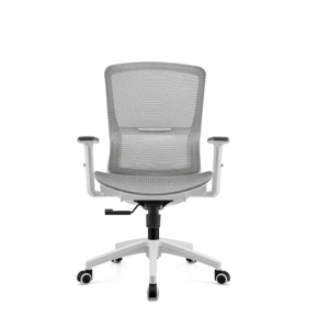 BL-834BG-1 Stylish Adjustable Chair with Lumbar Support for All-Day Comfort