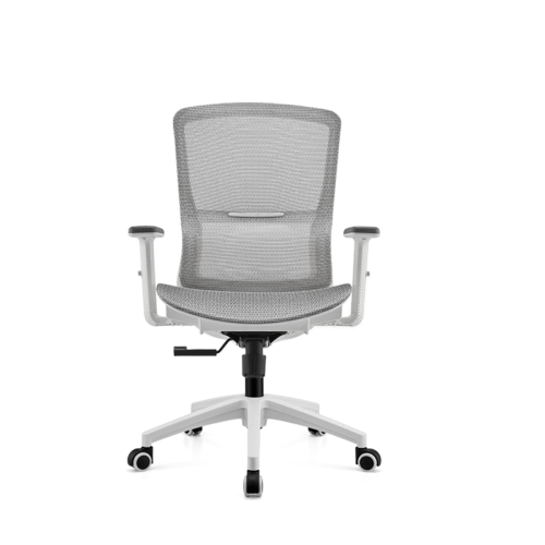 BL-834BG-1 Stylish Adjustable Chair with Lumbar Support for All-Day Comfort
