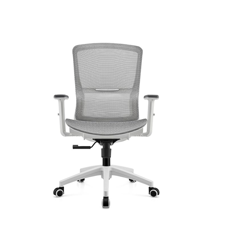 BL-834BG-1 Stylish Adjustable Chair with Lumbar Support for All-Day Comfort