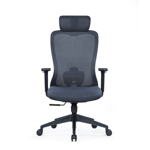 BL-850AW Stylish Adjustable Chair with Lumbar Support for All-Day Comfort