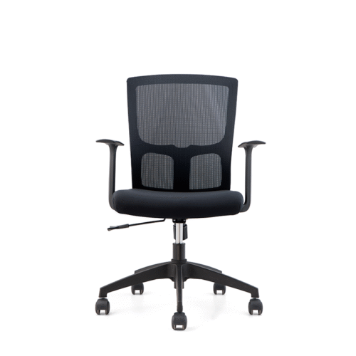 BL-820B Modern Adjustable Chair with Back Support for Enhanced Comfort