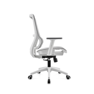 BL-834BG-1 Stylish Adjustable Chair with Lumbar Support for All-Day Comfort