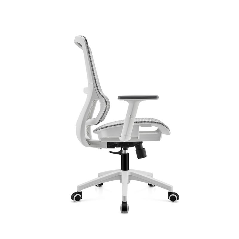 BL-834BG-1 Stylish Adjustable Chair with Lumbar Support for All-Day Comfort