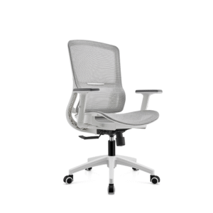 BL-834BG-1 Stylish Adjustable Chair with Lumbar Support for All-Day Comfort