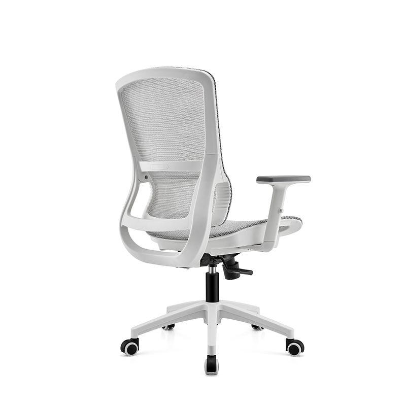 BL-834BG-1 Stylish Adjustable Chair with Lumbar Support for All-Day Comfort