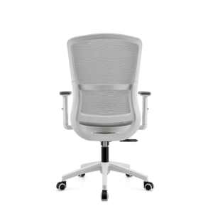BL-834BG-1 Stylish Adjustable Chair with Lumbar Support for All-Day Comfort