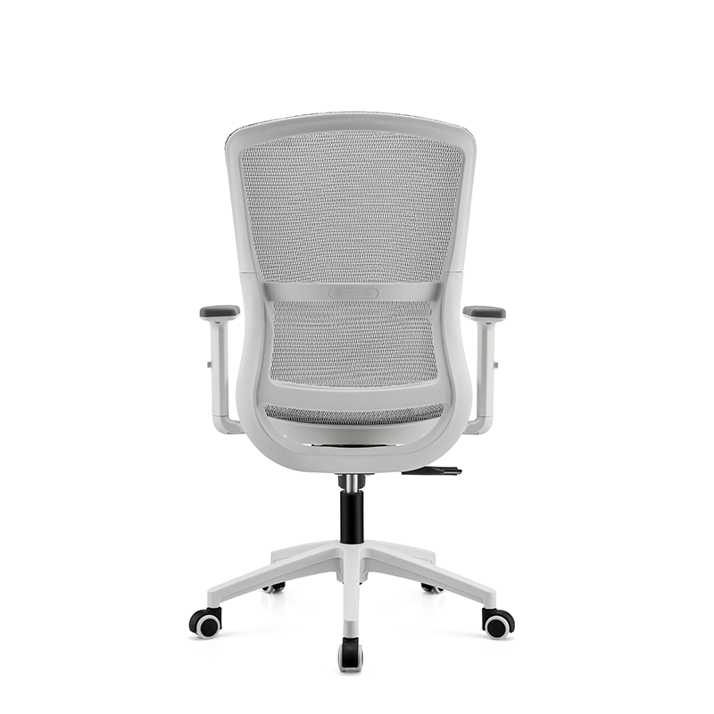 BL-834BG-1 Stylish Adjustable Chair with Lumbar Support for All-Day Comfort