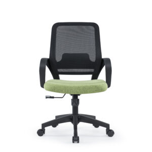 BL-811B Stylish Office Chair with Lumbar Support for All-Day Use
