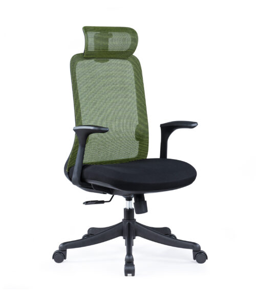 BL-851A Ergonomic Adjustable Chair with Lumbar Support for Ultimate Comfort