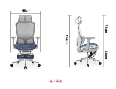 BL022AG-T Luxury Leather Executive Chair - Ideal for CEO And Bosse, with Plush Padding And Metal Base Office Chair